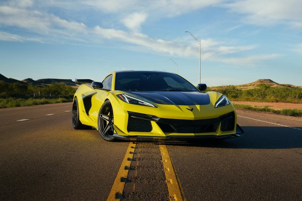 What Are the Most Common Misconceptions About Pets in the UK?